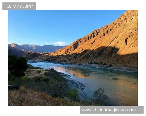 新金沙娱乐网址-新金沙娱乐网址，探索现代娱乐的新领地-新金沙娱乐网址